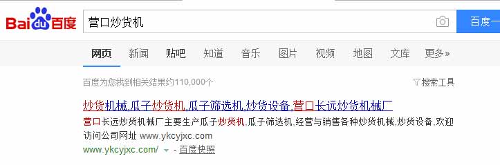 营口炒货机 营口SEO案例