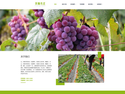 营口浅绿宽屏农庄采摘网站制作建设-案例